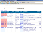 IIS Application IIS Application